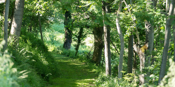 parc boisé dans maison de prestige à la location midi-pyrénées